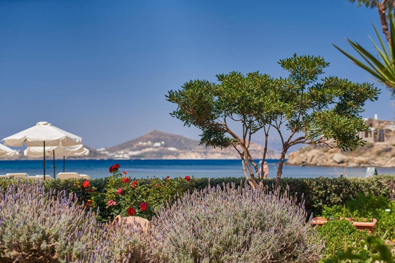 Kalergis Studios Naxos City Luaran gambar